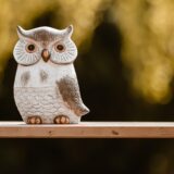 動物占いとは何か？その鑑定方法も解説！