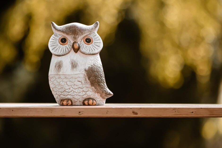 owl g55284f84d 1920 940x627 - ラッキーチャンスを予兆する幸せの鳥とは?!夢占いで鳥が示す意味を知ろう