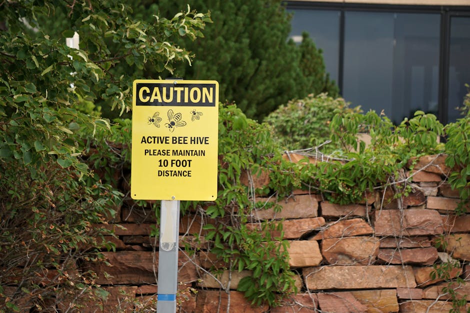A yellow caution sign warns of an active bee hive and advises maintaining distance.