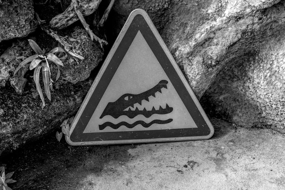 Monochrome image of a crocodile warning sign against a rocky background.