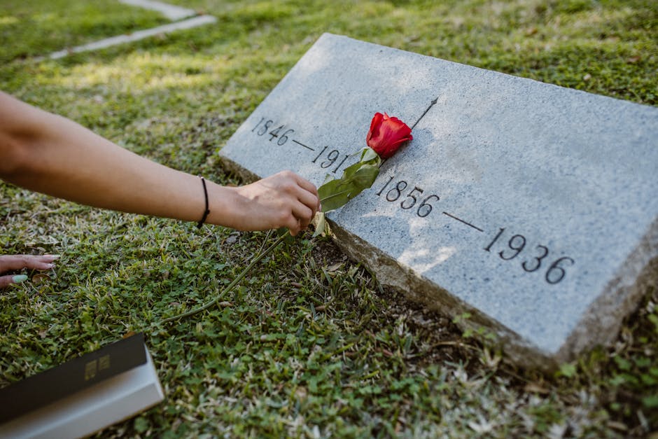 A red rose placed on a gravestone in a grassy cemetery, symbolizing remembrance and love.