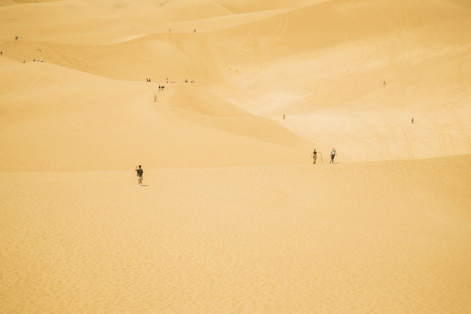 Hikers explore the vast, golden sand dunes under clear skies in Colorado, USA.