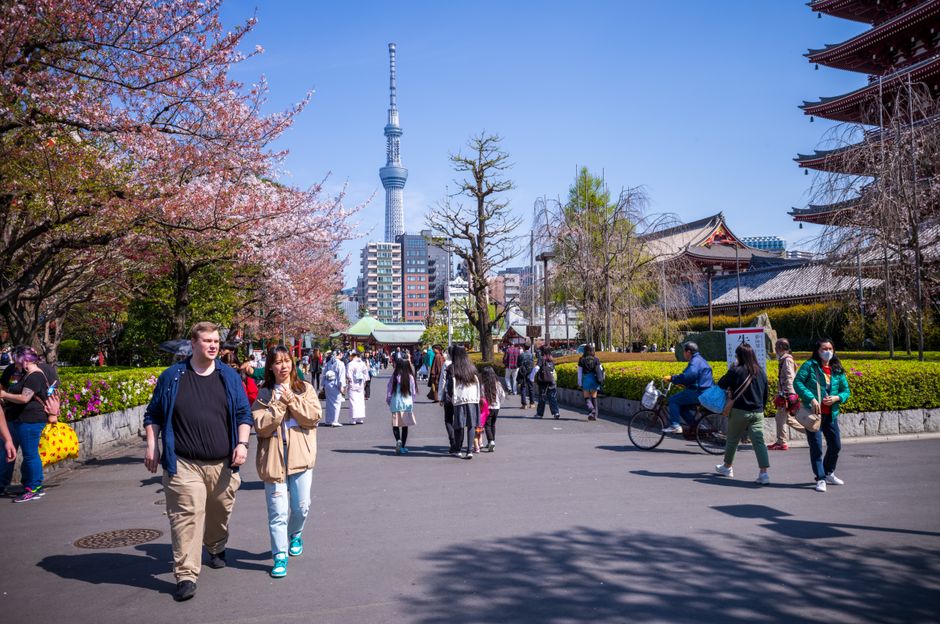 A bustling scene at Senso-ji Temple during cherry blossom season, featuring Tokyo Skytree in the background.